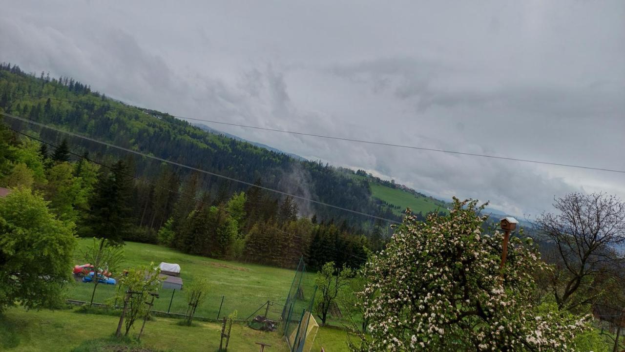 Domek Nad Lasem Koniaków المظهر الخارجي الصورة