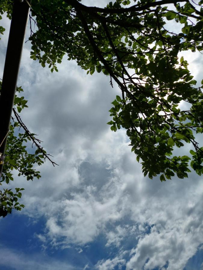 Domek Nad Lasem Koniaków المظهر الخارجي الصورة