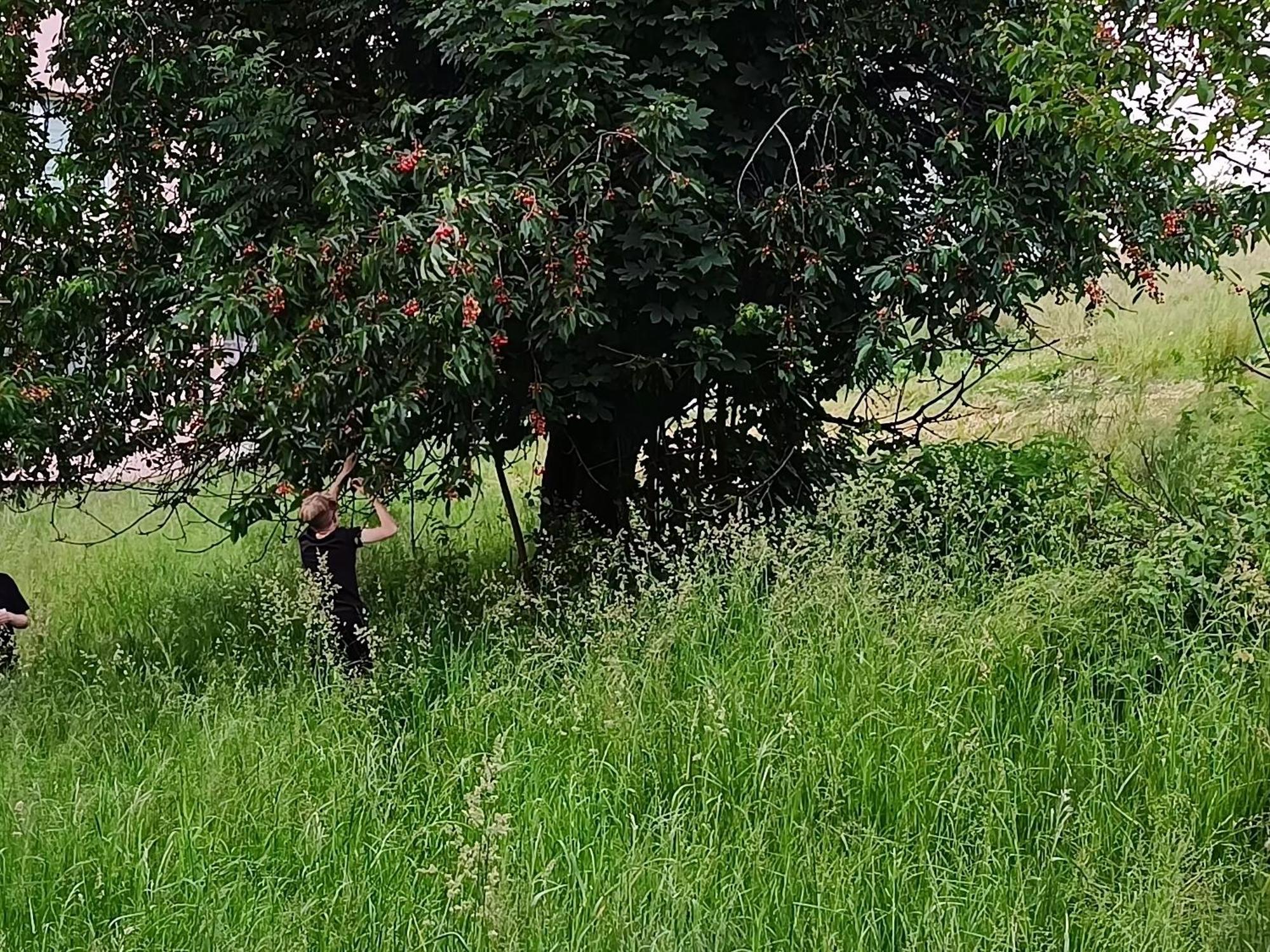 Domek Nad Lasem Koniaków المظهر الخارجي الصورة